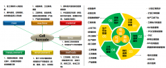 提高电机能；目前的欧拉剑走偏锋但反应